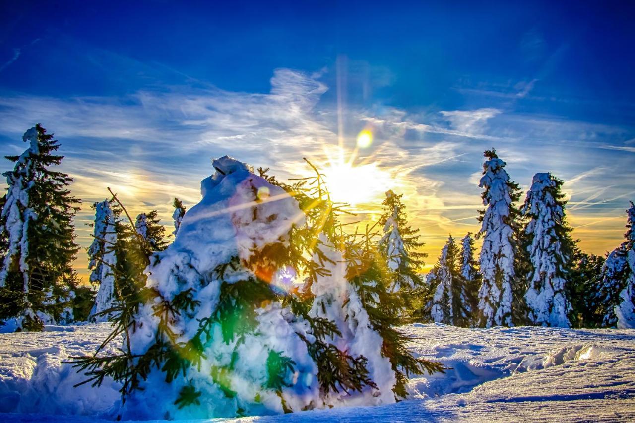 Mountain Apartment Klinovec Atomic Лоучна-под-Клиновцем Экстерьер фото